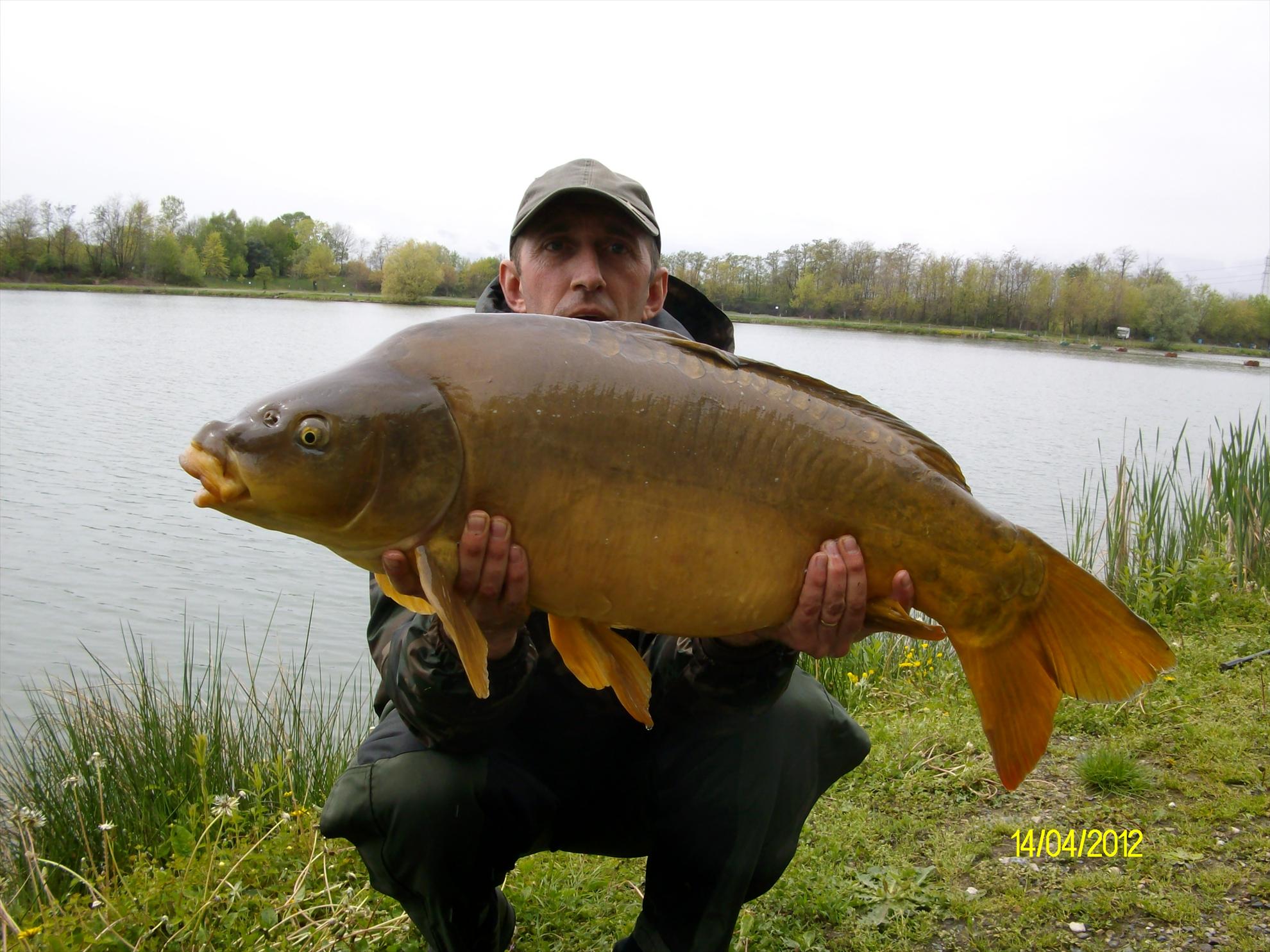 florian tanasa - alim0543.JPG